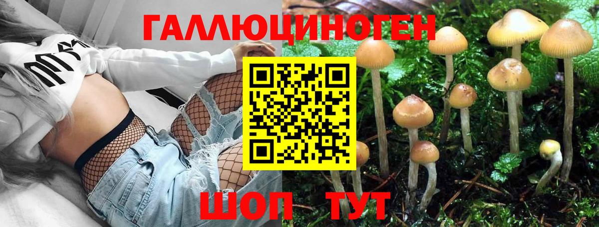 Галлюциногенные грибы мухоморы  Галлюциногенные грибы Psilocybe  Алатырь  Вход с VPN 