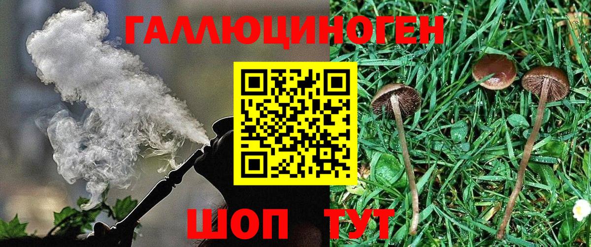 Псилоцибиновые грибы MAGIC MUSHROOMS Алатырь