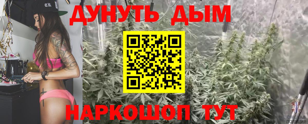 Каннабис SATIVA & INDICA Алатырь
